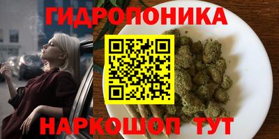 герыч Кингисепп
