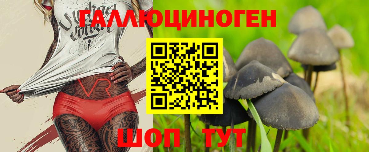 Псилоцибиновые грибы GOLDEN TEACHER Краснокаменск