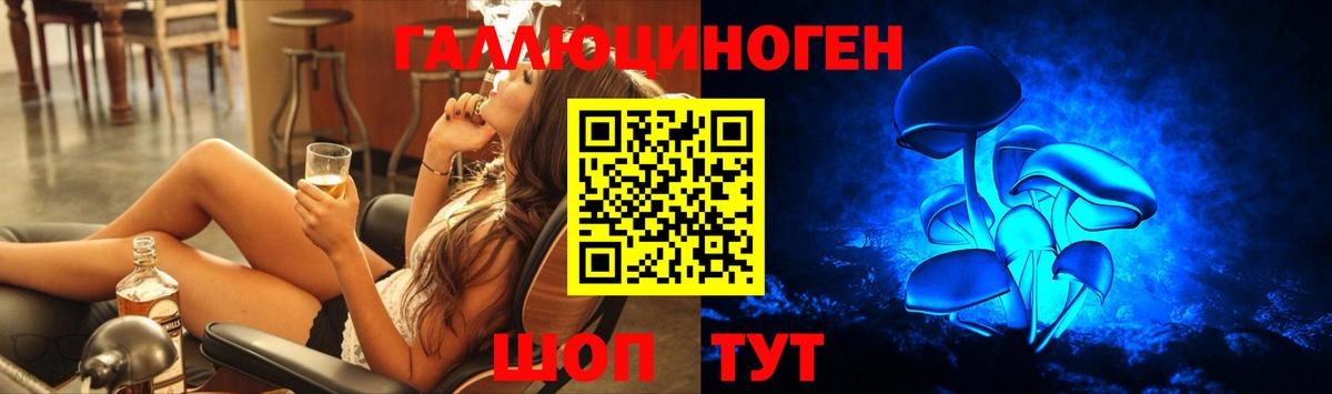 Псилоцибиновые грибы Psilocybine cubensis  что такое   Вход с VPN  Краснокаменск  Псилоцибиновые грибы Psilocybine cubensis 